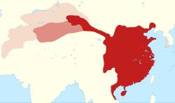 06038x7t-fdd5-250x147.png