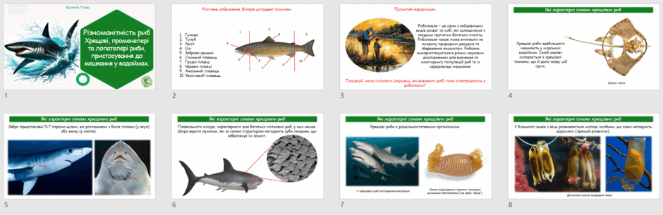 0603903s-d9a6-940x305.png