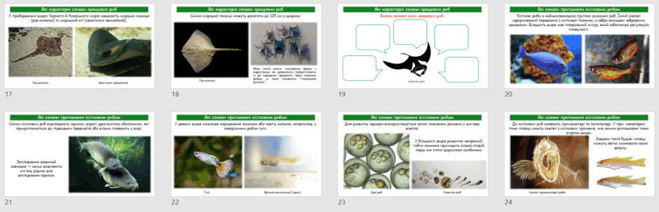 0603904b-99c4-940x303.png