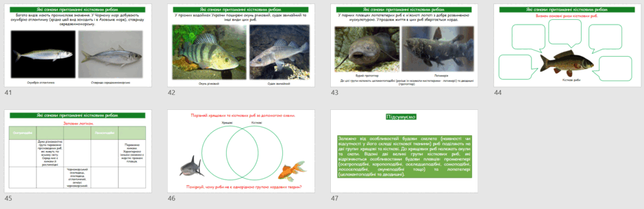06039052-47d6-940x306.png