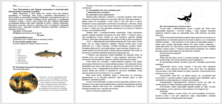 0603905o-f612-940x440.png