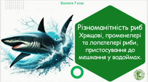 Презентація, конспект уроку та робочі аркуші на тему "Різноманітність риб. Хрящові, променепері та лопатепері риби, пристосування до мешкання у водоймах". 7 клас НУШ