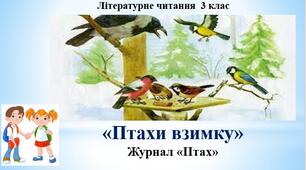 Презентація "Птахи взимку" стаття; за підр.М.Чумарна "Українська мова та літературне читання" 3 кл. 2 семестр