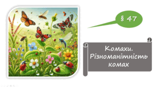   7 клас НУШ. Комахи. Різноманітність комах