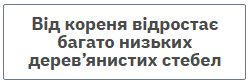 060392x0-b356-312x103.png
