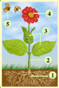 06039368-0f71-120x178.png