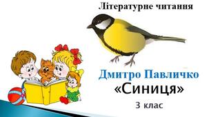 Презентація "Синиця" Д.Павличко; за підр.М.Чумарна "Українська мова та літературне читання" 3 кл. 2 семестр