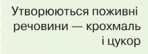 06039388-5066-296x109.png