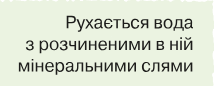 06039398-fd1f-305x123.png