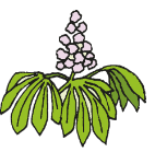 060393a1-6a81-142x139.png