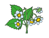 060393a9-6ff1-169x130.png