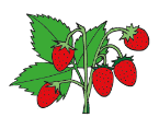 060393au-24f6-145x118.png