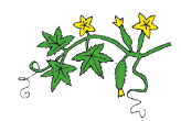 060393b7-de35-164x110.png