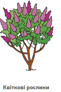 060393yp-3ae5-200x302.png