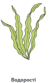 060393zp-214b-192x290.png