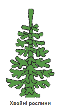 060393zw-a205-205x370.png