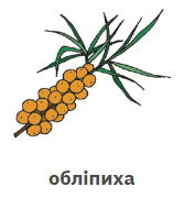 0603942l-7b4e-167x180.png