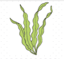 06039456-af53-133x123.png