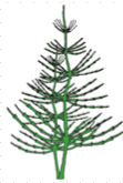 0603945t-7b91-111x165.png