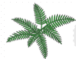 06039466-727e-150x117.png