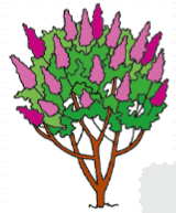 0603946k-1796-160x193.png