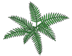 0603948z-a2ee-232x179.png