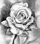 0603958k-b0d5-129x144.png
