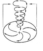 060395n2-0263-149x174.png