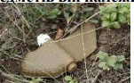 060398q2-1692-151x93.png