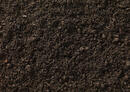 06039e0i-be5d-130x92.jpg