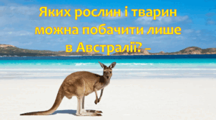 Презентація "Яких рослин і тварин  можна побачити лише в Австралії?" 4 клас