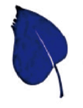 06039fhe-1ea3-170x220.png