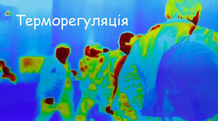 Терморегуляція. Виділення.