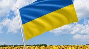 Журнал щоденного обліку роботи практичного психолога ЗДО (січень 2024) у дистанційному форматі (онлайн)