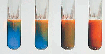 06039rq5-ab76-340x173.png