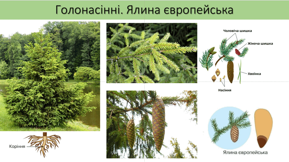 06039to1-6c87-940x528.png