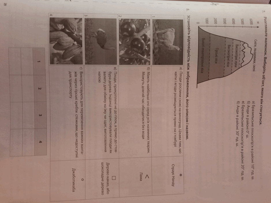 06039ufv-1ccf-940x705.png