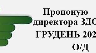 Накази директора (керівника) ЗДО. Грудень 2024  - о/д/