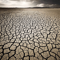06039us4-7973-247x247.png