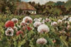 06039vob-0567-142x93.png