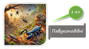   7 клас НУШ. Павукоподібні