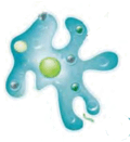 06039w60-2646-120x131.png