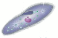 06039w63-10dd-120x78.png