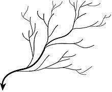 06039z5d-82a3-220x180.jpg