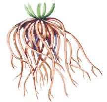 0603a892-d5fc-386x368.png