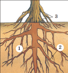 0603a8c9-46b8-383x416.png