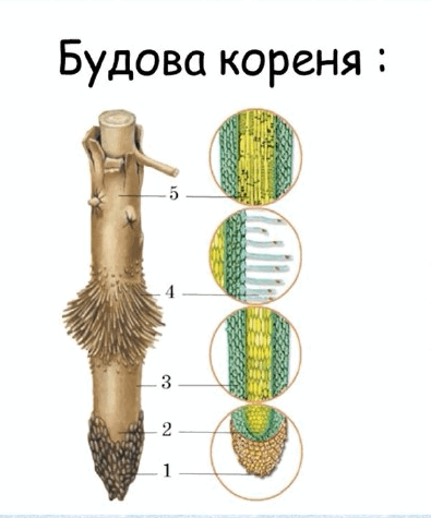 0603a8hx-7640-395x475.png