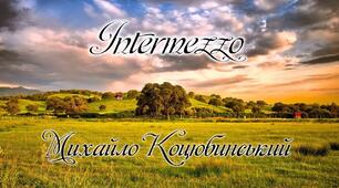 Літературна гра" Впіймай помилку" за новелою М. Коцюбинського  « Intermezzo»