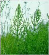 0603ac01-3a74-165x183.png