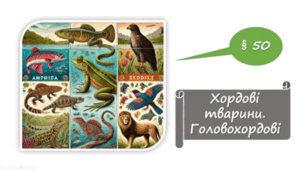   7 клас НУШ. Хордові тварини. Головохордові